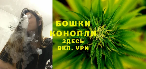 дживик Лабытнанги