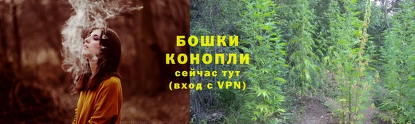 дживик Лагань