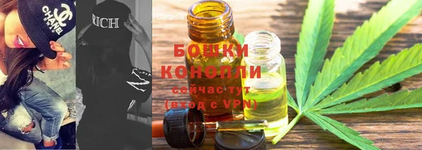 дживик Лагань