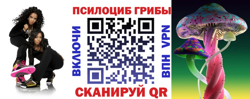 Купить где  Белокуриха  Псилоцибиновые грибы Psilocybe 