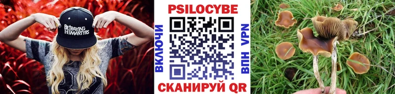 Галлюциногенные грибы Magic Shrooms Белокуриха